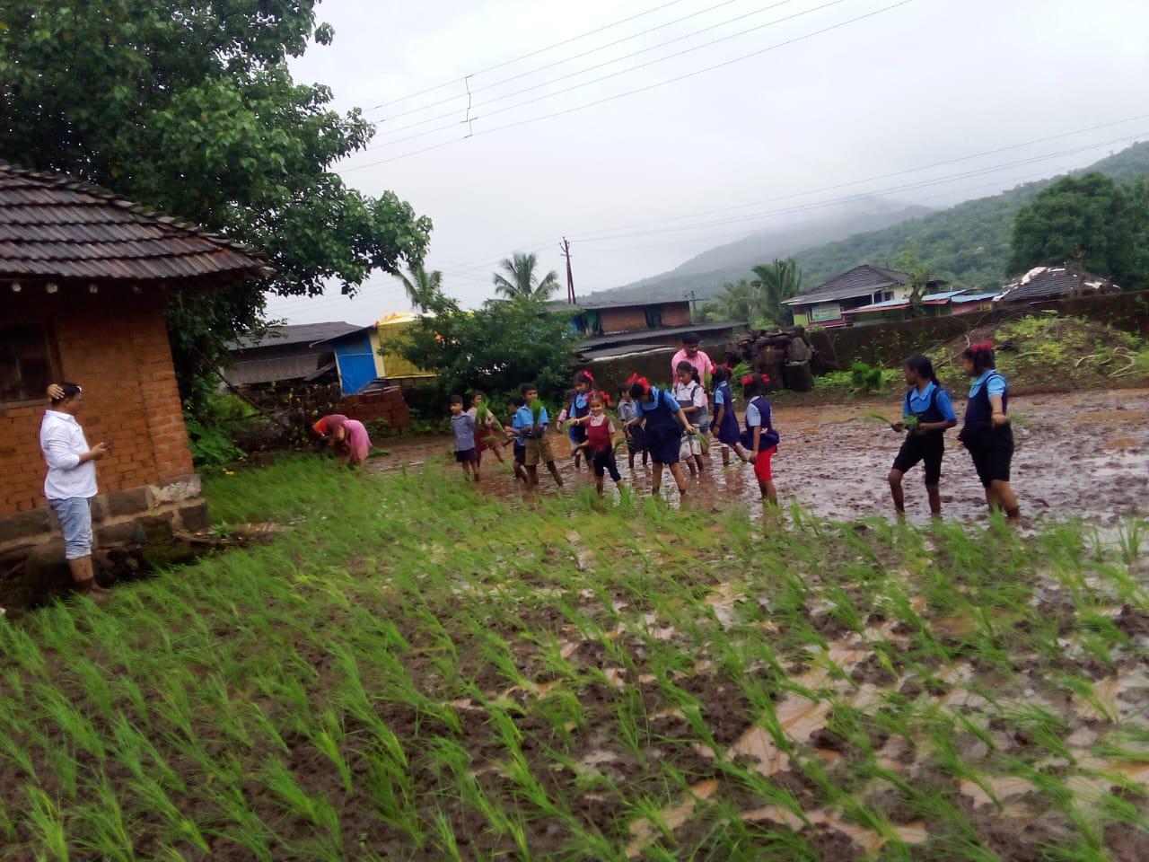 रा. जि. प. शाळा बोरघर येथील विद्यार्थ्यांनी गिरवले शेतीचे प्रत्यक्ष धडे